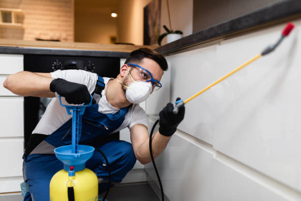 Best Cockroach Control Services  in Honsville, GA