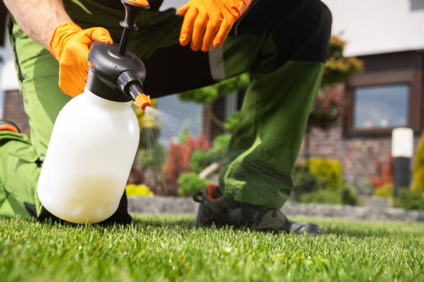 Best Mosquito Control Services  in Honsville, GA