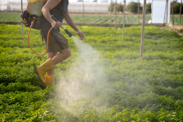 Wasp Removal Services in Hogansville, GA