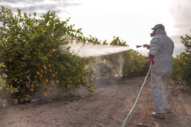 Best Pest Control for Restaurants  in Honsville, GA