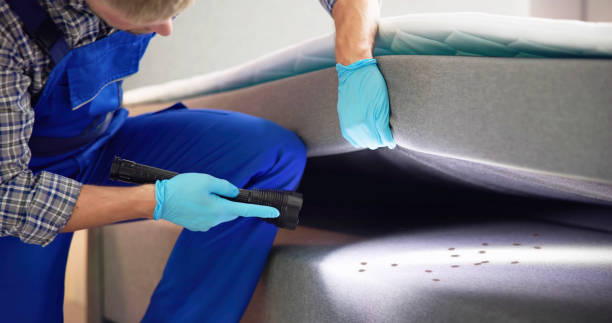 Reliable Hogansville, GA Pest Control Solutions