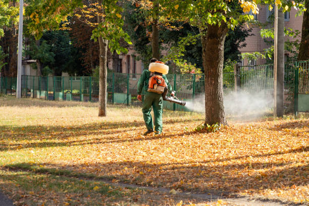 Best Ant Control Services  in Honsville, GA